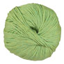 Cascade 220 Superwash - 0905 Celery