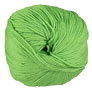 Cascade 220 Superwash Yarn