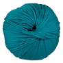 Cascade 220 Superwash - 0890 Emerald City