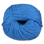 Cascade 220 Superwash - 0848 Blueberry