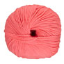 Cascade 220 Superwash Yarn