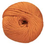 Cascade 220 Superwash - 0876 Sandalwood