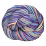 Koigu KPPPM Yarn