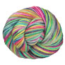 Koigu KPPPM Yarn