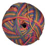 Berroco Comfort - 9836 Finnian's Rainbow