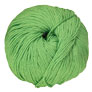 Cascade 220 Superwash - 0226 Peppermint