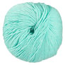Cascade 220 Superwash - 1973 Seafoam Heather