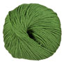 Cascade 220 Superwash - 0208 Treetop