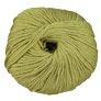 Cascade 220 Superwash - 0209 Cedar
