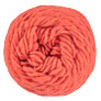 Brown Sheep Lamb's Pride Worsted Yarn