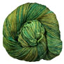 Malabrigo Arroyo - 128 Fresco y Seco