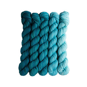 SweetGeorgia Tough Love Sock Party of Five Mini-Skein Set - Swell