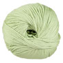 Cascade 220 Superwash - 0250 Laurel Green