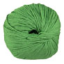 Cascade 220 Superwash - 0254 Mint Green
