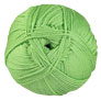 Cascade 220 Superwash Merino - 017 Green Tea