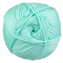Cascade 220 Superwash Merino - 037 Ice Green