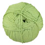Cascade 220 Superwash Merino - 042 Celery Heather