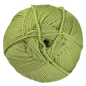 Cascade 220 Superwash Merino - 058 Iguana