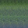 Cascade 220 Superwash Wave - 112 Seattle