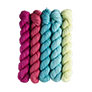 SweetGeorgia Tough Love Sock Party of Five Mini-Skein Set - Candy Shop