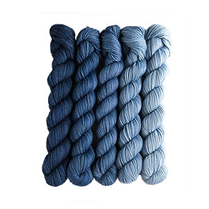 SweetGeorgia Tough Love Sock Party of Five Mini-Skein Set - Voyage