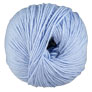 Cascade 220 Superwash - 0280 Placid Blue