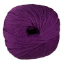 Cascade 220 Superwash - 0283 Plum Purple