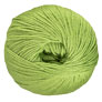 Cascade 220 Superwash - 0286 Peridot