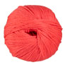 Cascade 220 Superwash - 0287 Deep Sea Coral