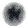Scheepjes Whirl Yarn