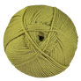 Cascade 220 Superwash Merino Yarn - 093 Dried Herb