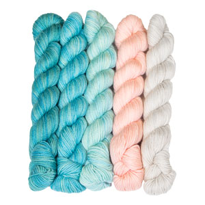 SweetGeorgia Tough Love Sock Party of Five Mini-Skein Set - Seashore