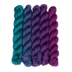 SweetGeorgia Tough Love Sock Party of Five Mini-Skein Set - Tanzanite