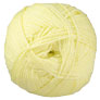 Scheepjes Colour Crafter - 1020 Leiden