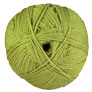 Scheepjes Colour Crafter - 1065 Assen